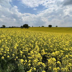 22-05-02 13-44-30 0728